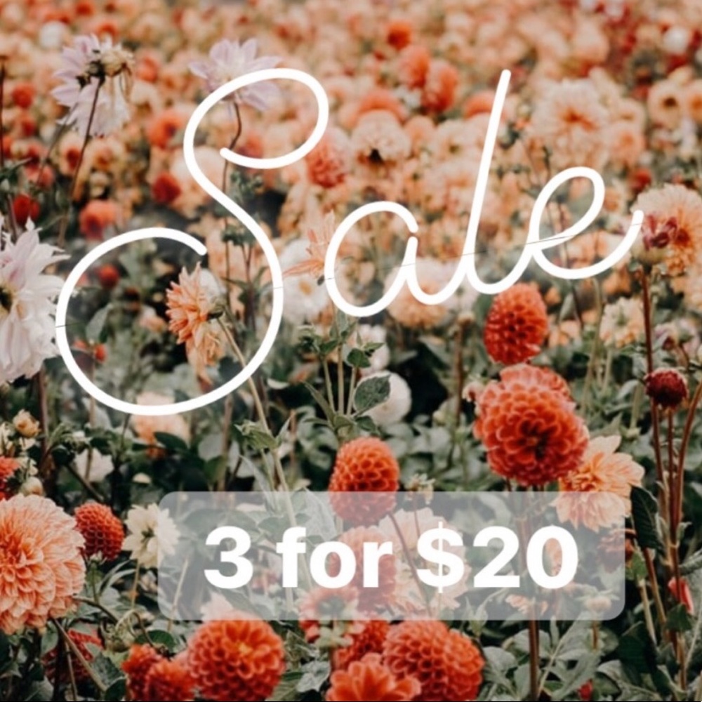 3 for $20 Sale! Items $15 and under only.